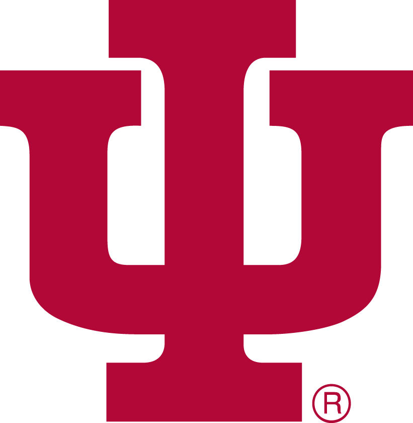 Indiana Hoosiers 1976-1981 Primary Logo diy iron on heat transfer
